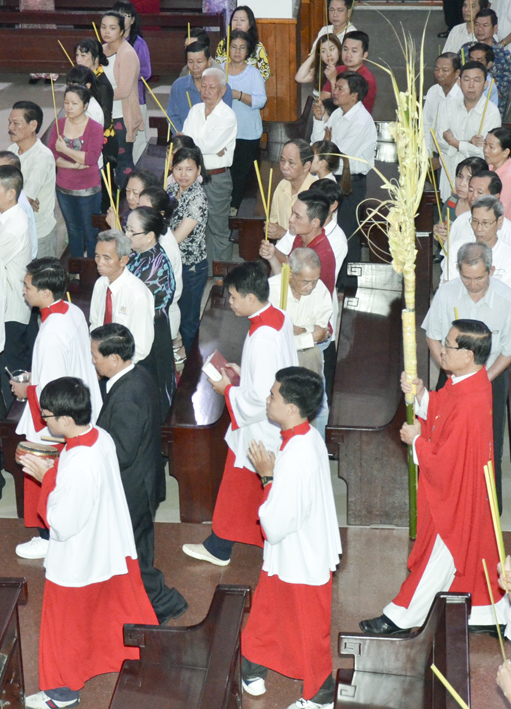 Giáo xứ Tân Thái Sơn: Chúa Nhật Lễ Lá 2016 