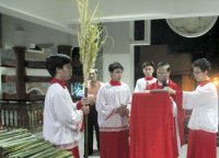 Gx Tân Thái Sơn: Chúa Nhật Lễ Lá 2014.