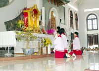 Giáo xứ Tân Thái Sơn Chầu Lượt thay Giáo Phận.